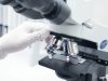 New Microscopy Technique Reveals 3D View of Immune Cells Fighting Tumors New Microscopy Technique Reveals 3D View of Immune Cells Fighting Tumors