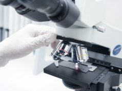 New Microscopy Technique Reveals 3D View of Immune Cells Fighting Tumors New Microscopy Technique Reveals 3D View of Immune Cells Fighting Tumors