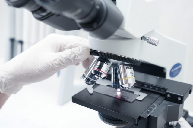 New Microscopy Technique Reveals 3D View of Immune Cells Fighting Tumors