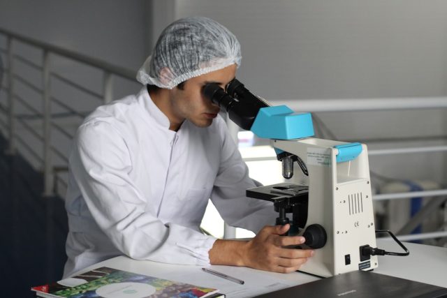 Cambridge Lab-Grown Human Model Shows Spinal Nerve Fibers Regenerating Cambridge Lab-Grown Human Model Shows Spinal Nerve Fibers Regenerating