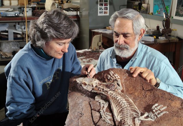Paleontologists